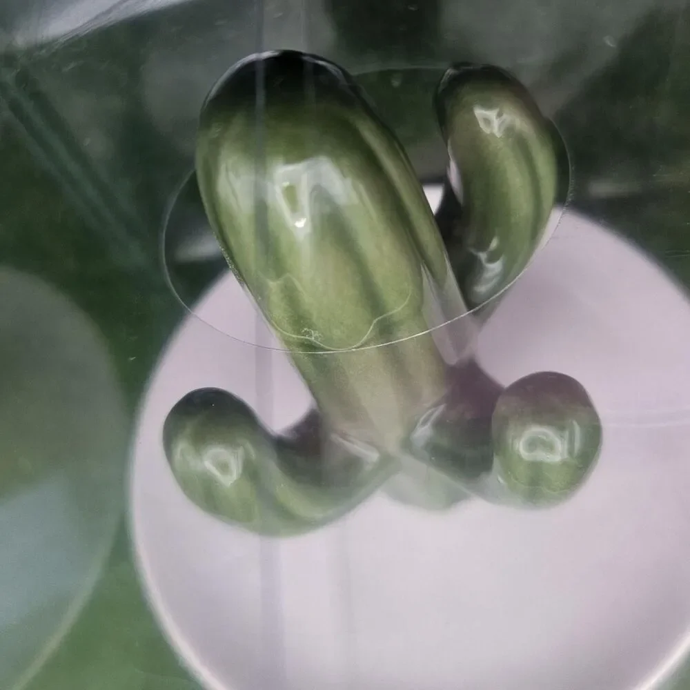 Ceramic Cactus Jewelry Dish Ring Holder